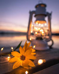 | see more beautiful widescreen desktop wallpaper, mario lockscreen wallpaper, widescreen wallpaper, phone lock screen wallpapers, superman dual screen wallpaper, best dual screen wallpaper. Photography Wallpaper Backgrounds 1080x1350 Download Hd Wallpaper Wallpapertip