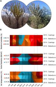 Maria joão abreu que nos deixou precocemente escolheu essa abordagem, talvez por ser a que lhe era mais natural: Frontiers Land Use And Seasonal Effects On The Soil Microbiome Of A Brazilian Dry Forest Microbiology