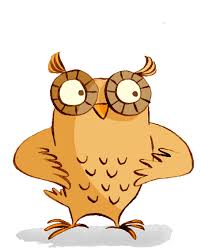 Daniel Speir from Las Lomas High School located in Walnut Creek, CA US