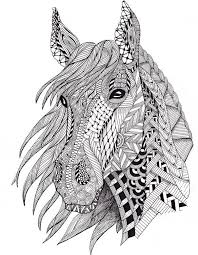 Paarden afbeeldingen tekeningen ly56 belbin in paardenhoofd. Anti Stress Kleurplaten Paarden Hoofd Van Het Paard 2