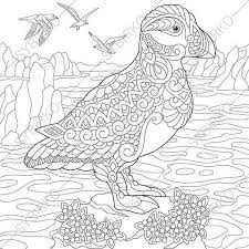 Image Result For Puffin Mindfulness Colouring In Animal Coloring Pages Animal Coloring Books Bird Coloring Pages