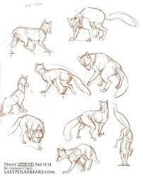 For those kids who love spending time with animals, a dog walking business could be the perfect opportunity to get started with business ownership. 40 Free Easy Animal Sketch Drawing Information Ideas Brighter Craft