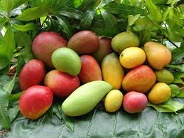 Blog De Recettes Capillaires Faciles Fait Maison Pour Cheveux Afros Mais Pas Que Mangue Legume Exotique Fruits