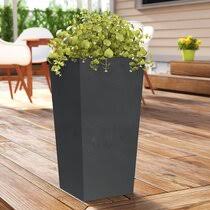 We did not find results for: Tall Outdoor Pots Turquoise Wayfair