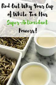 Everything You Need To Know About White Tea White Tea Green Tea Catechins Fermented Tea