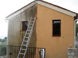 Quel Anti Mousse Facade Une Maison A Renover