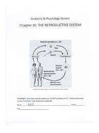 Reproductive System Chapter 16 Key Answer Pdf