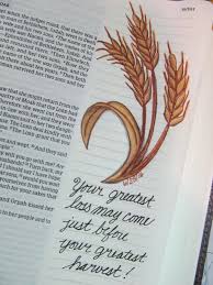 The book of ruth is a hebrew short story, told with consummate skill. 220 Ruth Ideas In 2021 Ruth Old Testament Book Of Ruth
