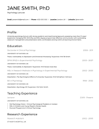 The professional profile focuses on a background. The 20 Best Cv And Resume Examples For Your Inspiration