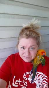 🥺🥺🥺 GOOD BYE SUNNY HAVE A GREAT FIRST FLIGHT. I can't believe he flew  off no warning no nothing.Now Gizmo is all by herself😭 First video is from  the nest, second video