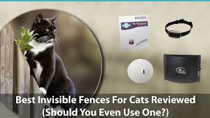 38 results for dog shock collar fence. Best Invisible Fences For Cats Reviewed Do They Even Work