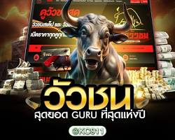 รูปภาพโปรแกรมวัวชน วัวชช.GURU