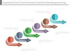 Organizational Chart Of Small Company Powerpoint Slide
