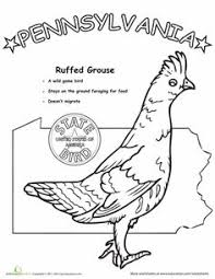 Pennsylvania State Bird Worksheet Education Com State Birds Arts Education Quotes Pennsylvania History