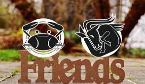 Cancer and capricorn friendship compatibility. Cancer And Capricorn Friendship Compatibility