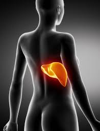 Decesul din cauza înțepături de albine este de trei până la patru ori mai frecvente decât moartea de la mușcături de șarpe. Ficatul Nu Doare Ce InseamnÄƒ De Fapt Durerile In Dreapta Boli Si Tratamente SÄƒnÄƒtate Unica Ro