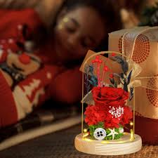DONODA Preserved Flower Rose Gift for Women,Fresh Flowers Forever Roses  with Long-Lasting,Led Light Up Rose in Glass Dome,Christmas Thanksgiving  Valentine's Day Anniversary (Red Rose): Buy Online at Best Price in UAE -