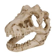 ✅ 3d models available for download in any file format, including max, 3ds, obj, fbx, c4d for work with them in arnold.✅ easy buy and download of 3d models for all models: Aquarium Decorations Skull Cave Resin Artificial Dinosaur Skeleton Head Bone Ornament For Hiding Fish Tank Small Skull Aquarium Decorations Cave Landscape Pet Reptile House Aquarium Skull Decor Cave Buy Online In Saint Vincent