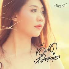 ส้มโอ Stage Fighter: albums, songs, concerts