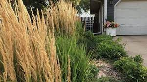 Select the department you want to search in. South Dakota Home Garden Extras Sdpb