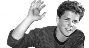 Wally Cleaver, '50s TV, and Free-Range Kids