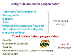 We did not find results for: Komponen Non Gizi Komponen Alami Pangan Yang Dapat