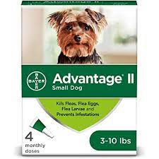 Check spelling or type a new query. Amazon Com Advantage Ii 4 Dose Flea Treatment For Small Dogs Flea Treatment For Small Dogs 3 10 Pounds Pet Flea Drops Pet Supplies