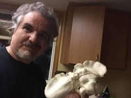 Vinegar tek vs pasteurized oyster mushroom substrate comparison