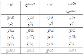 الجنة العجلة كيفية وزن الكلمات المكونة من الكلمات المزيدة