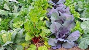 The main objective for how to attract beneficial wildlife to your home garden is to know what you need to. How To Attract Bees To Your Garden 14 Plants For Pollinators 2021 Masterclass