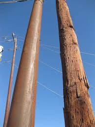 Steel Vs Wood Utility Pole Jpg 2736 3648 Wood Steel Wooden