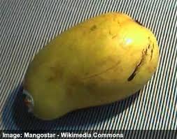 Jan 10, 2019 · mango barley salad i made this fresh, colorful mango salad on the fly and it was a big hit! Types Of Mangoes Mango Varieties From Around The World With Pictures
