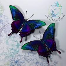 Download Peacock Swallowtail Butterfly Shimmer Sparkle 3d Butterfly Wall Decoration Decal Green Gold Purple Or Red Fridge Magnet Potential Swallowtail Butterfly Butterfly Art Painting Butterfly