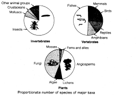 Important Questions For Cbse Class 12 Biology Biodiversity