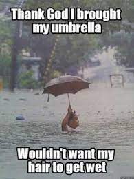 8 Bad Weather Ideas Funny Memes Humor Funny Pictures