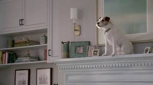 Your insurance company does not decide what breed of dog or other pet you own. Abancommercials Farmers Insurance Tv Commercial Farmers Insurance Advertsiment The 2017 Burkies Mer Mutt Embrace Pet Insurance Love Your Pet Dog Houses