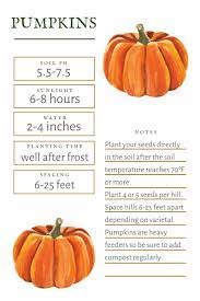 Pin On Growing Pumpkins