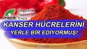 Ceviz Kabugu Ile Sac Boyama Yontemi Yemek Diyet Saglikli Yasam
