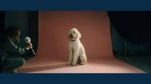 Ibm Cloud Tv Commercial The World Is Going Hybrid All Your Clouds Together Ispot Tv