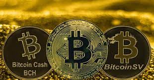 Bitcoin cash's touted advantage and main differentiator was the increase to larger block sizes, up to 8 mb maximum. Bitcoin Vs Bitcoin Cash Vs Bitcoin Sv The Ultimate Guide Currency Com Security Token Cryptocurrency News Cryptocurrency