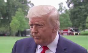 @thehill's video Tweet