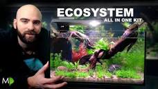 Ecosystem Aquarium In A Nano Kit Tank - YouTube