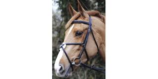 Jw English Mexican Bridle Paarden Mexicaans