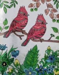 For boys and girls, kids and adults, teenagers and toddlers, preschoolers and older kids at school. Birds Rebecca Loker Self Colored Coloring Pages Digital Art Animals Birds Fish Birds Cardinals Artpal