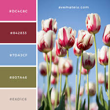 Kyoto Botanical Garden Kyoto Japan Color Palette 191 Ave Mateiu Color Palette Botanical Color Pallets