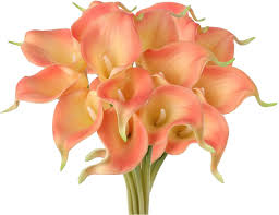 Maybe you would like to learn more about one of these? Buy 20 Pcs Cala Lily Flowers Artificial Real Touch 14 Faux Flower Arrangements Bridal Bouquet For Wedding Party Decor Fake Flowers For Home Decor Peach Color Flowers Bendable Single Stem Lilies Online In Indonesia