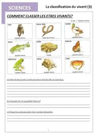 Sciences La Classification Du Vivant 3 1 Comment Classer Les Etres Vivants A Cherche Les Points Com Classification Des Animaux Questionner Le Monde Science