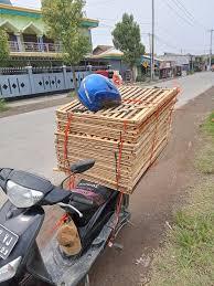 Hari ini arah Slawi yu siapah lagi kena ongkir 10 RB Sing butuh kandang  rakit siapah lagi mumpung stock banyak harga 60 rb T70 L70 minat bisa  inbox/wa 087763318582 lok slatri