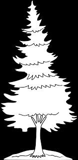 For example, entering #ffffff will narrow down the list to only combinations containing the color white. Forest Trees Coloring Pages Shefalitayal