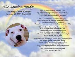 Lanes three, four and five are reversible. Personalized Pet Memorial Poem The Rainbow Bridge For Loss Of Pet Ebay